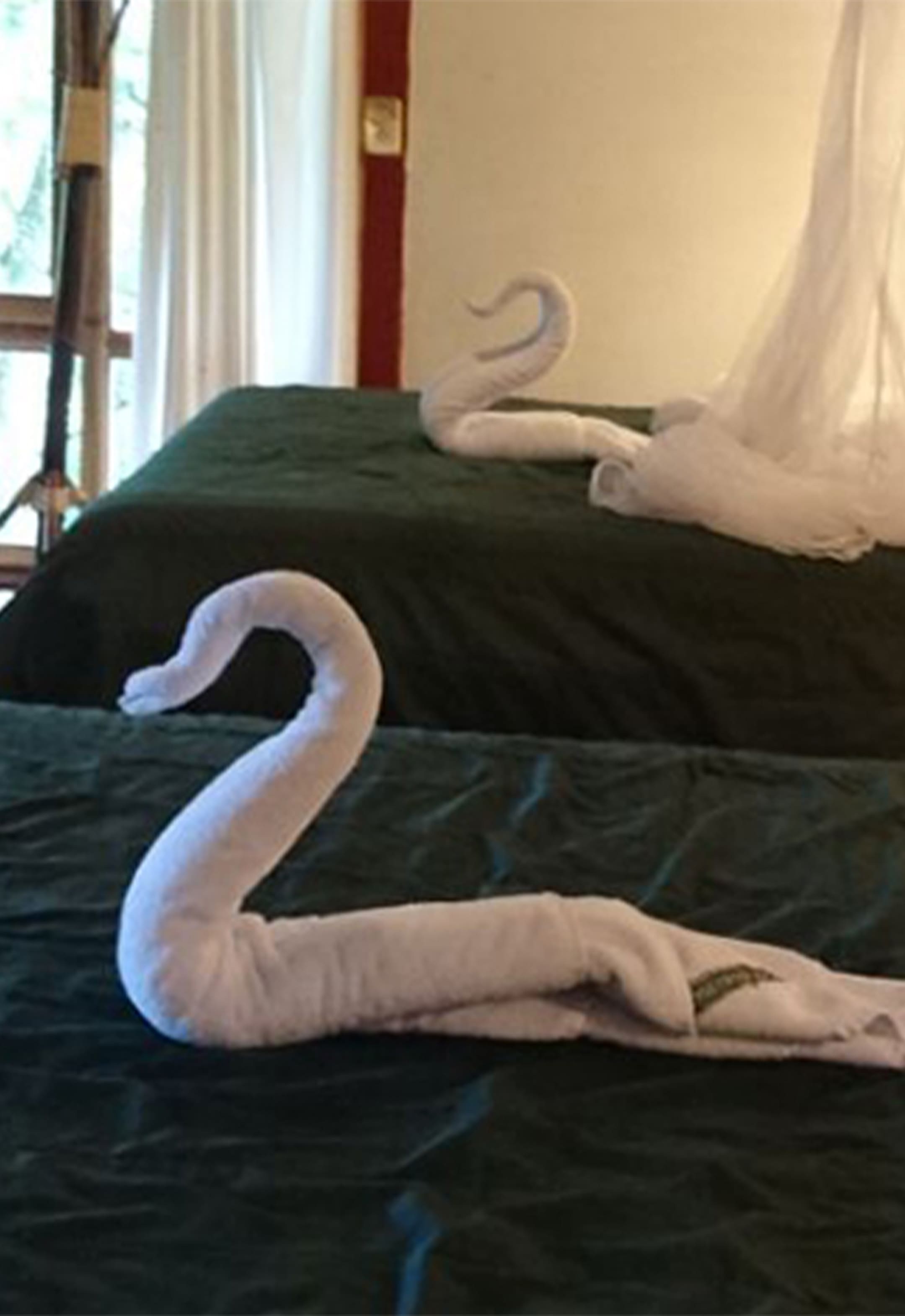 Cabañas Tosepan Kali