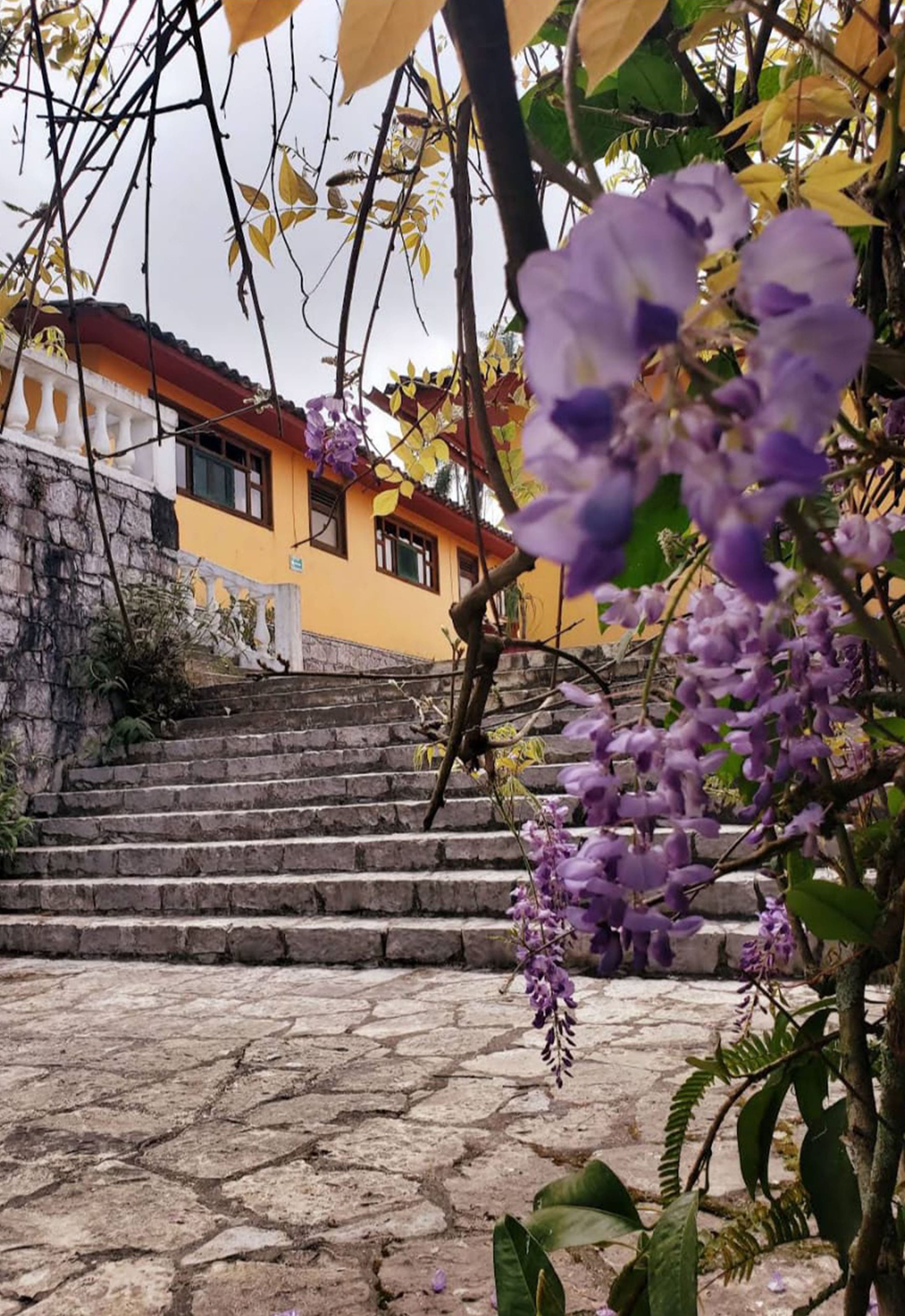 Hotel Meson Yohualichan